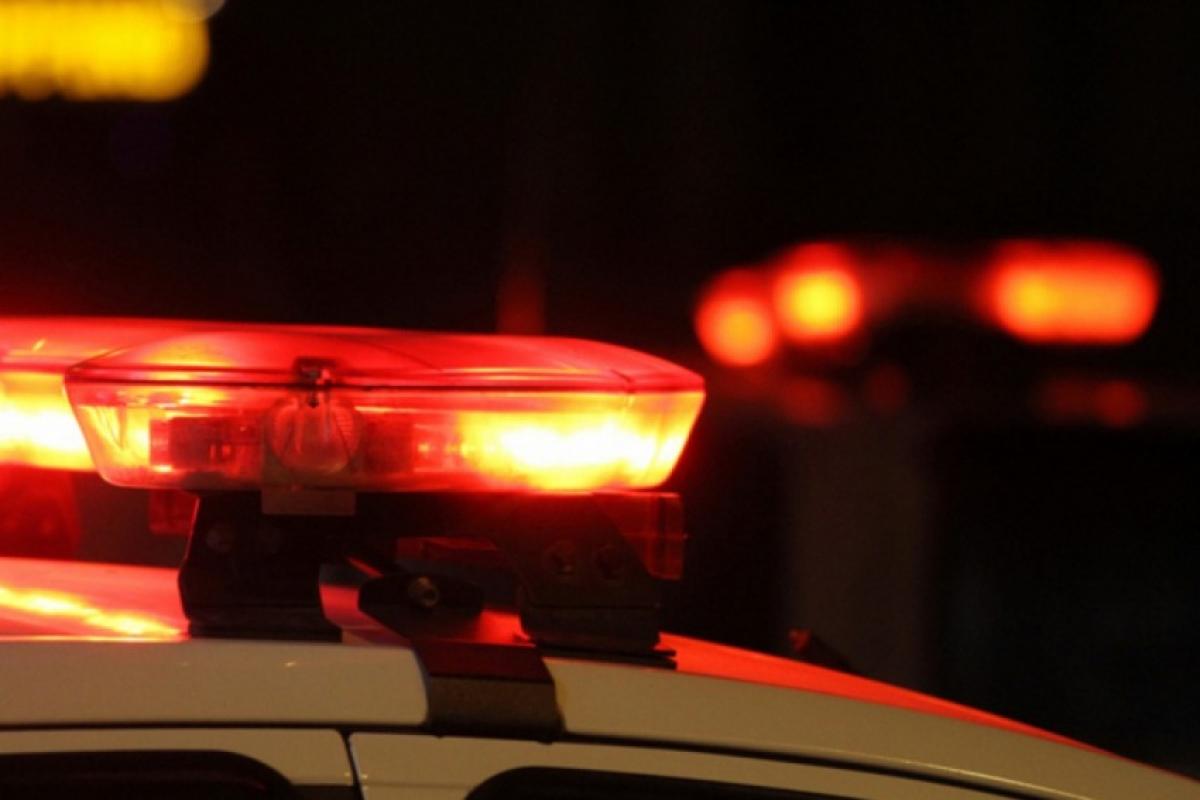 Cão farejador apreende 1.459 porções de drogas em Pindamonhangaba