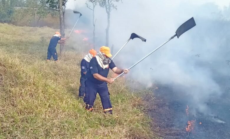 Prefeitura intensifica campanha contra queimadas e desafia período seco