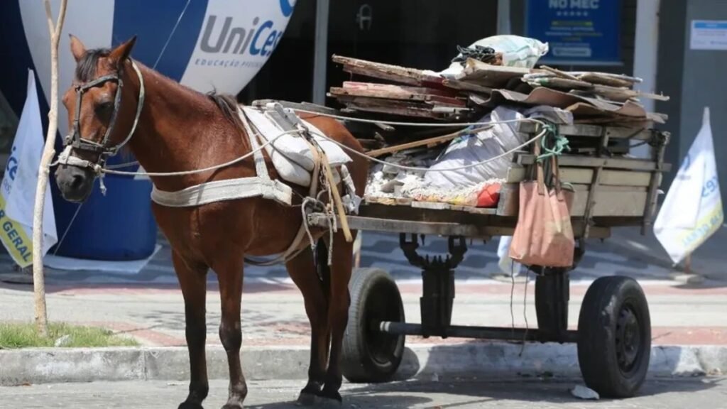 Taubaté Aprova Lei de Multas para Serviços Realizados com Carroças