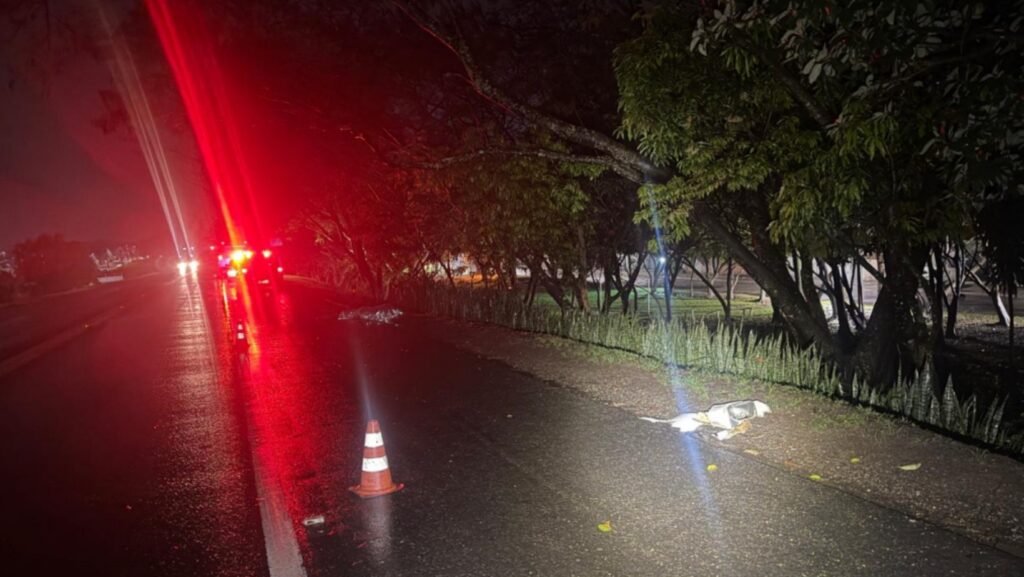 Pessoa morre em atropelamento envolvendo ônibus na BR-459, em Lorena