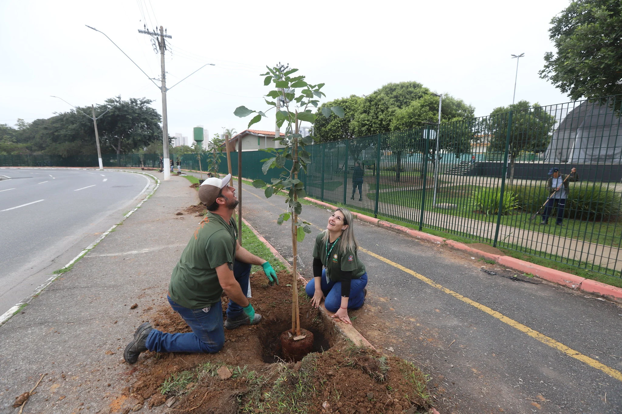 Jacareí Plantará Mil Árvores com Participação dos Moradores